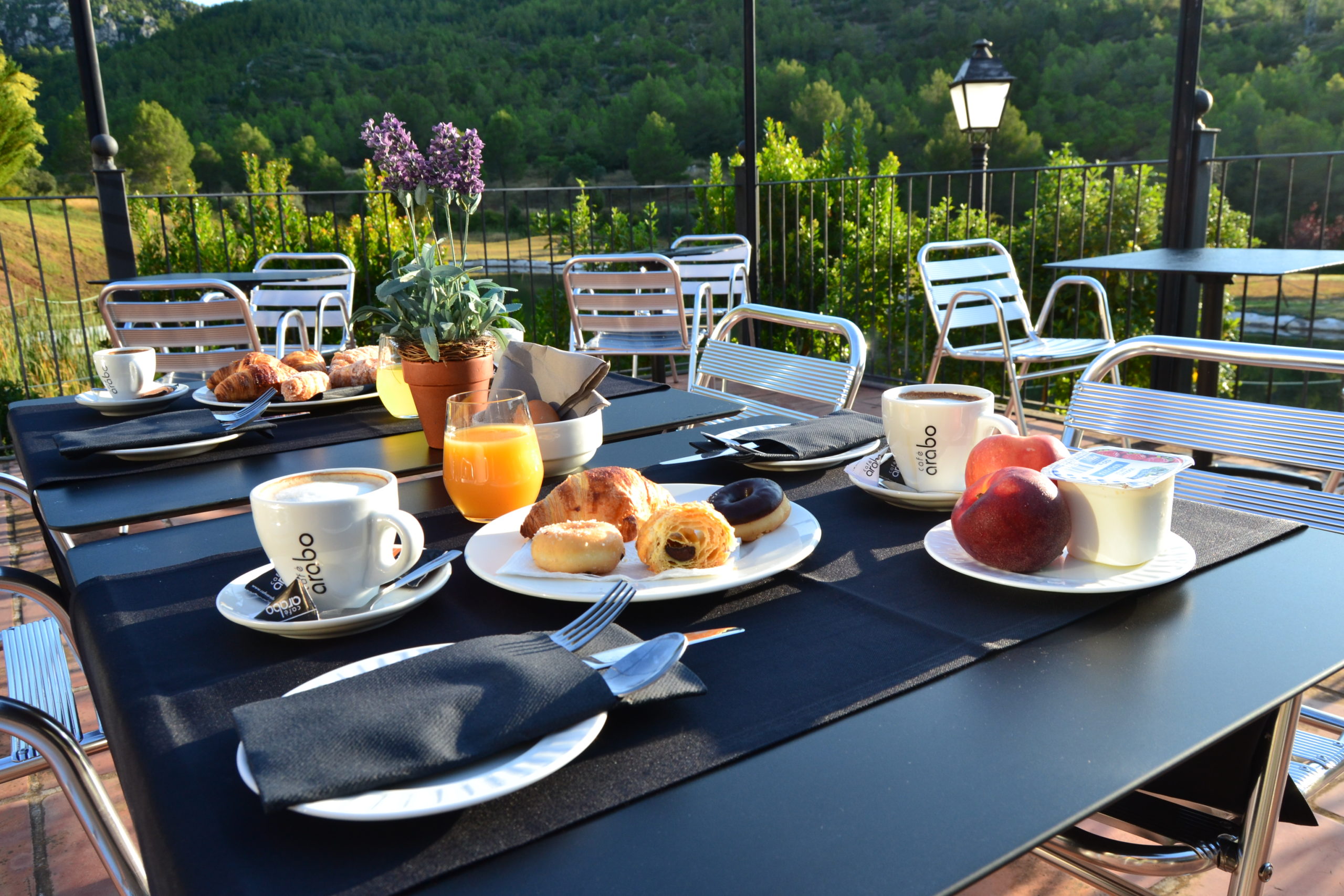 desayuno terraza (5)