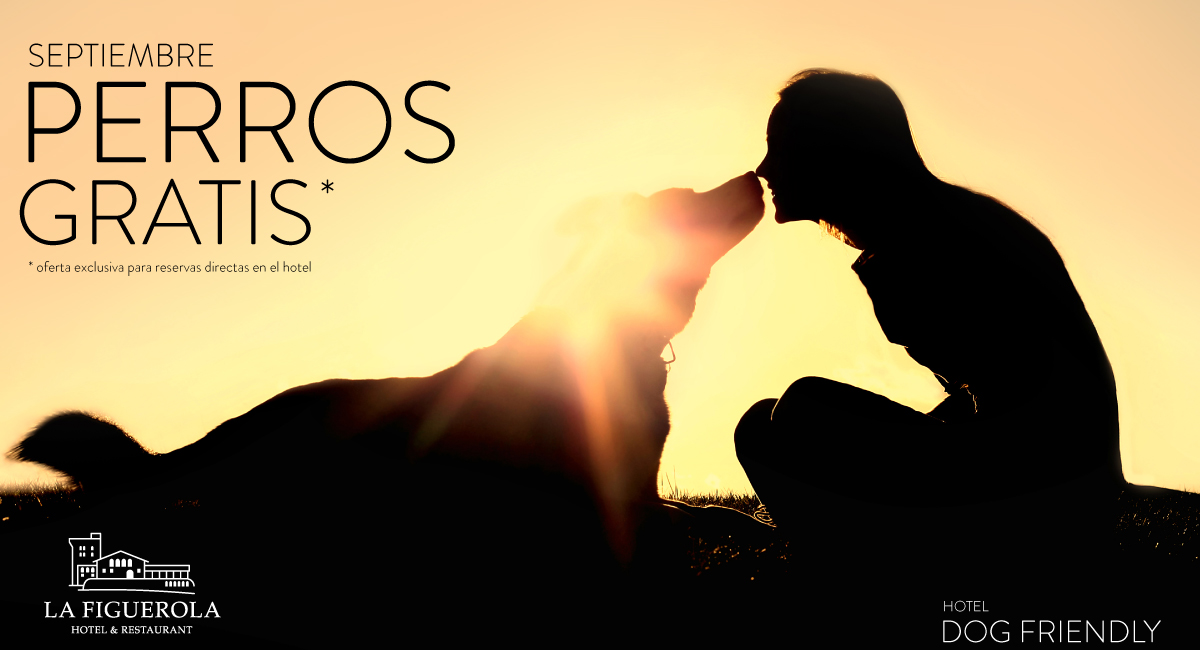 perros_septiembre_01