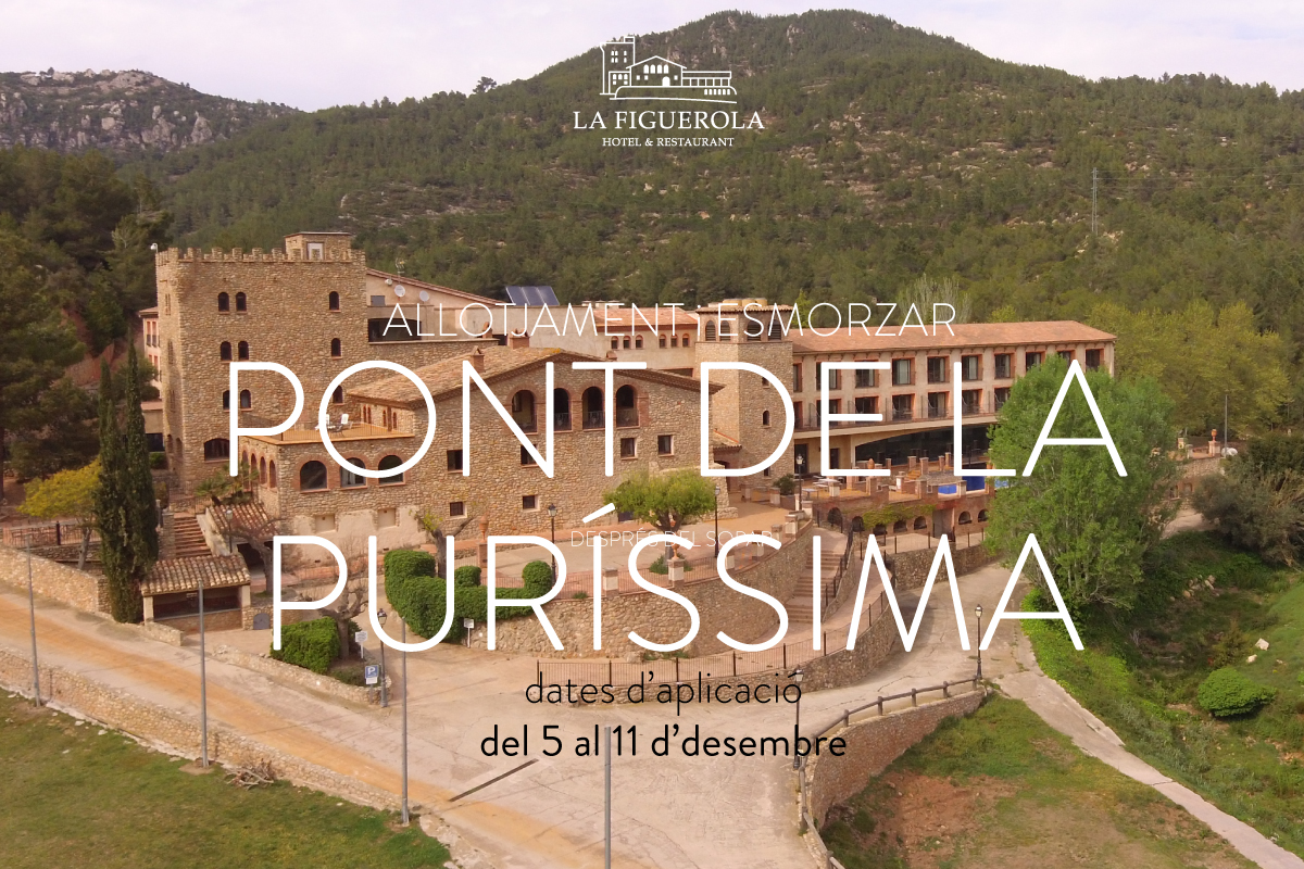 puente-diciembre_CAT