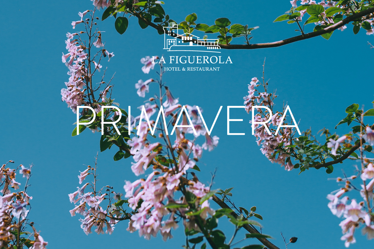 PRIMAVERA_2023