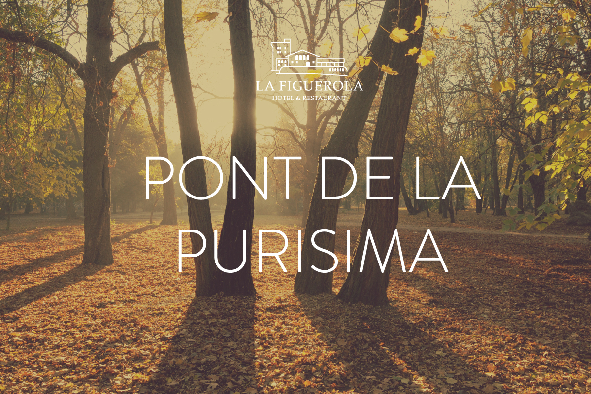 puente_Diciembre_2023_CAT